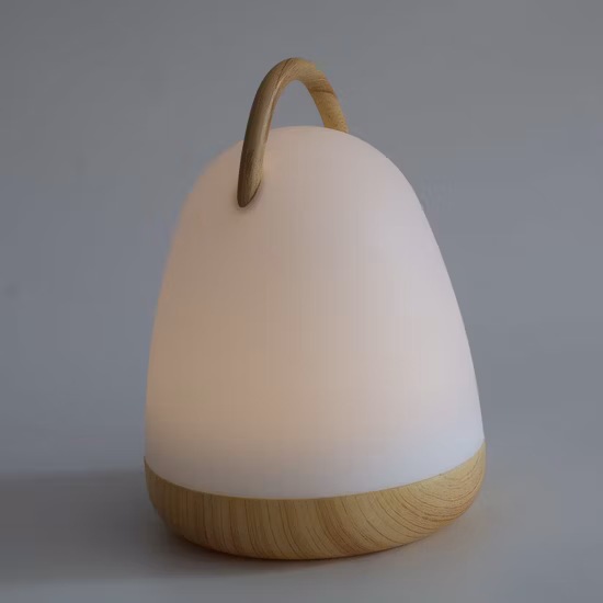 Lampada da tavolo Lampada da tavolo Lampada da scrivania Illuminazione a LED Luce da lettura Lampada a LED Luce notturna a LED a risparmio energetico Luce per bici Luce notturna con sensore di movimento